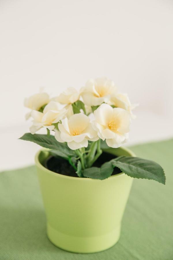 B&B Fior Fiore Spello Bagian luar foto